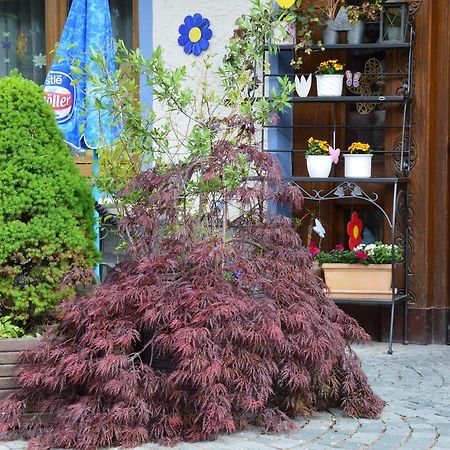 Hotel Gasthof Kollenspitze Nesselwängle Zewnętrze zdjęcie