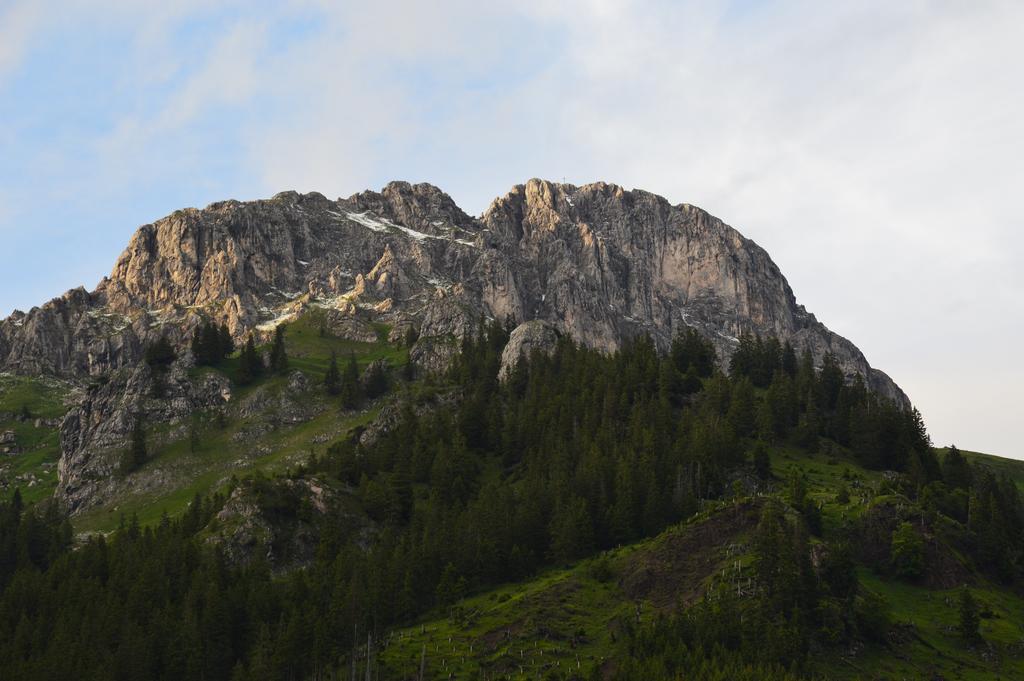 Hotel Gasthof Kollenspitze Nesselwängle Zewnętrze zdjęcie