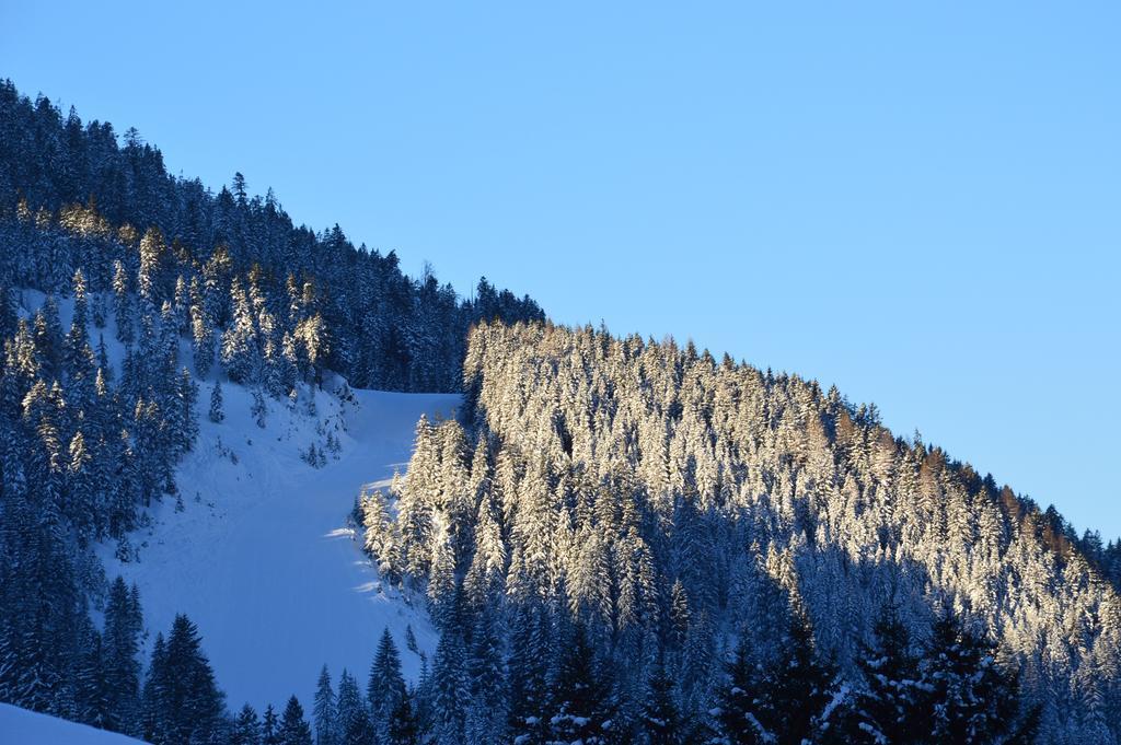 Hotel Gasthof Kollenspitze Nesselwängle Zewnętrze zdjęcie