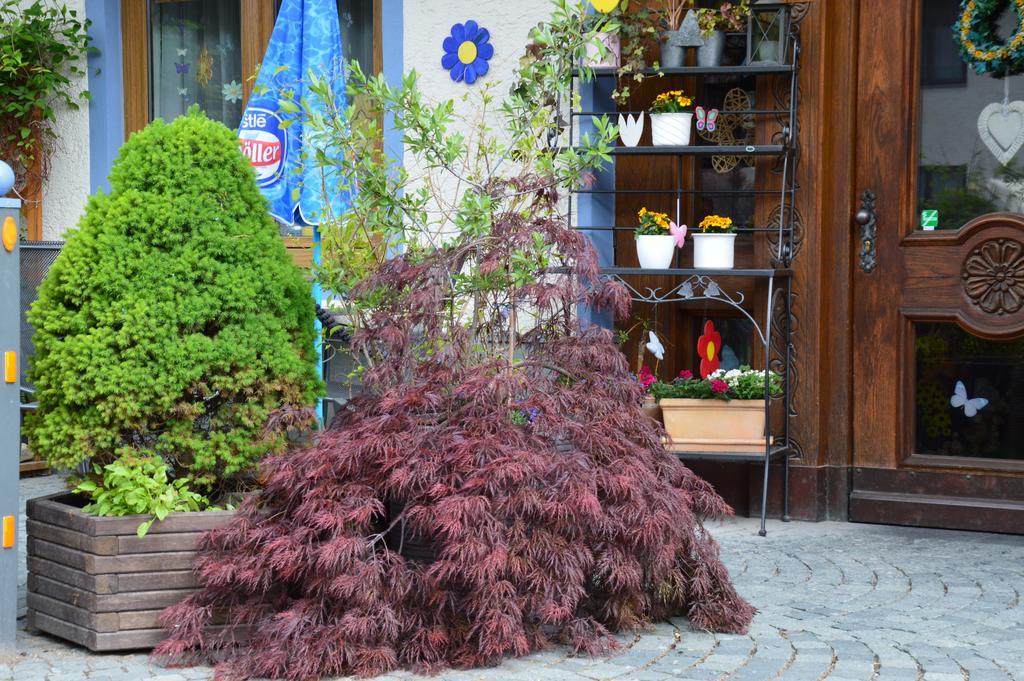 Hotel Gasthof Kollenspitze Nesselwängle Zewnętrze zdjęcie